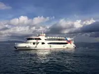 سفينة سياحية للبيع