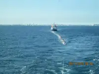 سفينة نقل بضائع سائبة للبيع