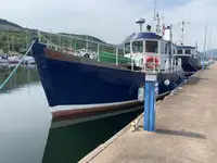 قارب طيار للبيع
