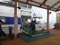 قارب مزدوج الهيكل للبيع