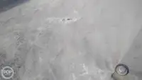 سفينة حاويات للبيع