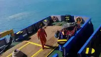قوارب العمل للبيع