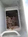 سفينة عبّارة للبيع