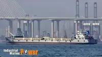 الناقل السائبة للبيع