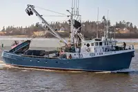 Purse seiner للبيع