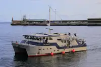 سفينة مسح للبيع