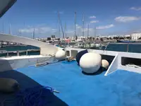 قارب مزدوج الهيكل للبيع