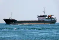 الناقل السائبة للبيع