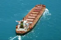 الناقل السائبة للبيع