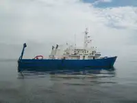 متعددة الأغراض للبيع