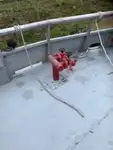 قوارب العمل للبيع