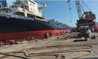 الناقل السائبة للبيع