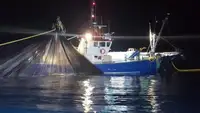 Trawler للبيع