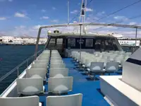 قارب مزدوج الهيكل للبيع