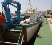 قوارب العمل للبيع