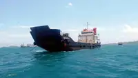 سفينة إنزال، ناقلة للبيع