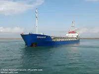 الناقل السائبة للبيع