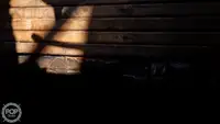سفينة صيد بالجر للبيع