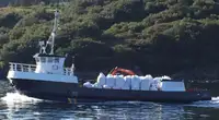قوارب العمل للبيع