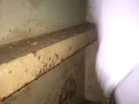 ناقلة نفط / مواد كيميائية للبيع