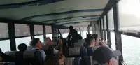 برمائي للبيع