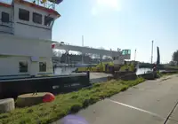 الناقل السائبة للبيع