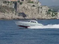 زورق دورية للبيع