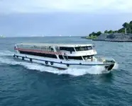 سفينة العبارة للبيع