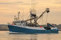 Purse seiner للبيع
