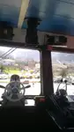 سفينة نقل بضائع بالمركبات (Ro-Ro) للبيع