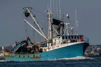 Purse seiner للبيع