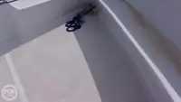 دعم الغوص للبيع