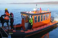 قارب مطاطي صلب للبيع