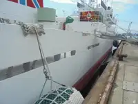 زورق دورية للبيع