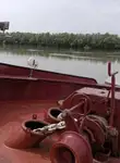 سفينة نقل بضائع سائبة للبيع