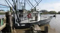 Trawler للبيع