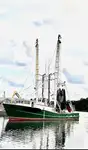 Trawler للبيع