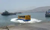 برمائي للبيع