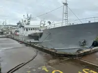 Longliner للبيع
