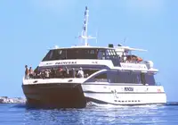 قارب مزدوج الهيكل للبيع