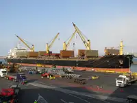الناقل السائبة للبيع