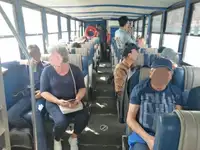 برمائي للبيع