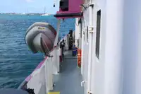 General Cargo/Multi-purpose للبيع