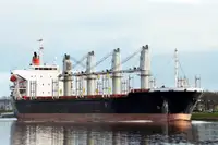 الناقل السائبة للبيع
