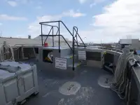 قارب مزدوج الهيكل للبيع