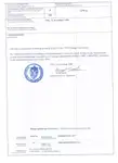 سفينة نقل بضائع بالمركبات (Ro-Ro) للبيع