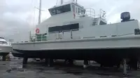 قارب مزدوج الهيكل للبيع