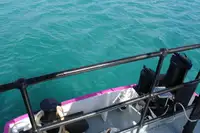 General Cargo/Multi-purpose للبيع