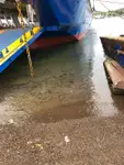 سفينة نقل بضائع بالمركبات (Ro-Ro) للبيع