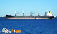 سفينة نقل بضائع سائبة للبيع